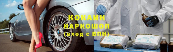 крисы Баксан