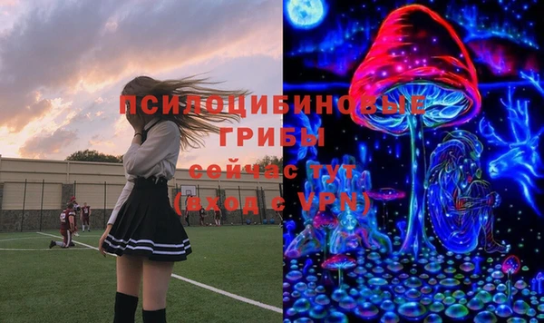 таблы Аркадак