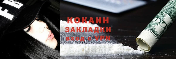 дживик Арсеньев