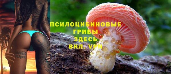 крисы Баксан