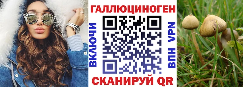 omg рабочий сайт  Киреевск  Псилоцибиновые грибы Cubensis 